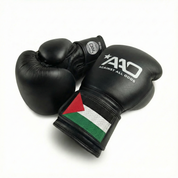 AAO Legacy Boxhandschuhe | Palestine - Aao-Fighting