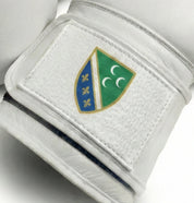 AAO Legacy Boxhandschuhe | Sandzak - Aao-Fighting