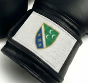 AAO Legacy Boxhandschuhe | Sandzak - Aao-Fighting