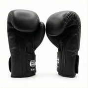 AAO Legacy Boxhandschuhe | Niederlande - Aao-Fighting