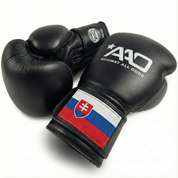 AAO Legacy Boxhandschuhe | Slovakia - Aao-Fighting