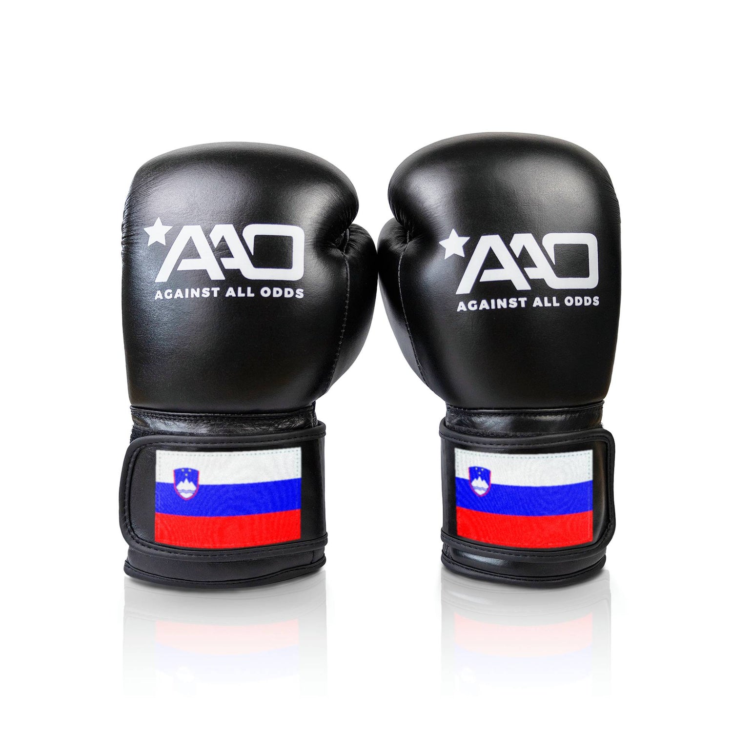 Slovenia Boxing Glove