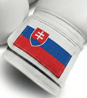 AAO Legacy Boxhandschuhe | Slovakia - Aao-Fighting