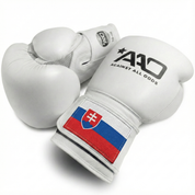 AAO Legacy Boxhandschuhe | Slovakia - Aao-Fighting