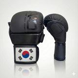 AAO Legacy Mixed Martial Arts Gloves | South Korea