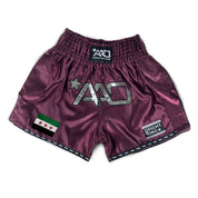 Muay Thai Shorts Syria Flag – AAO Clean Shorts