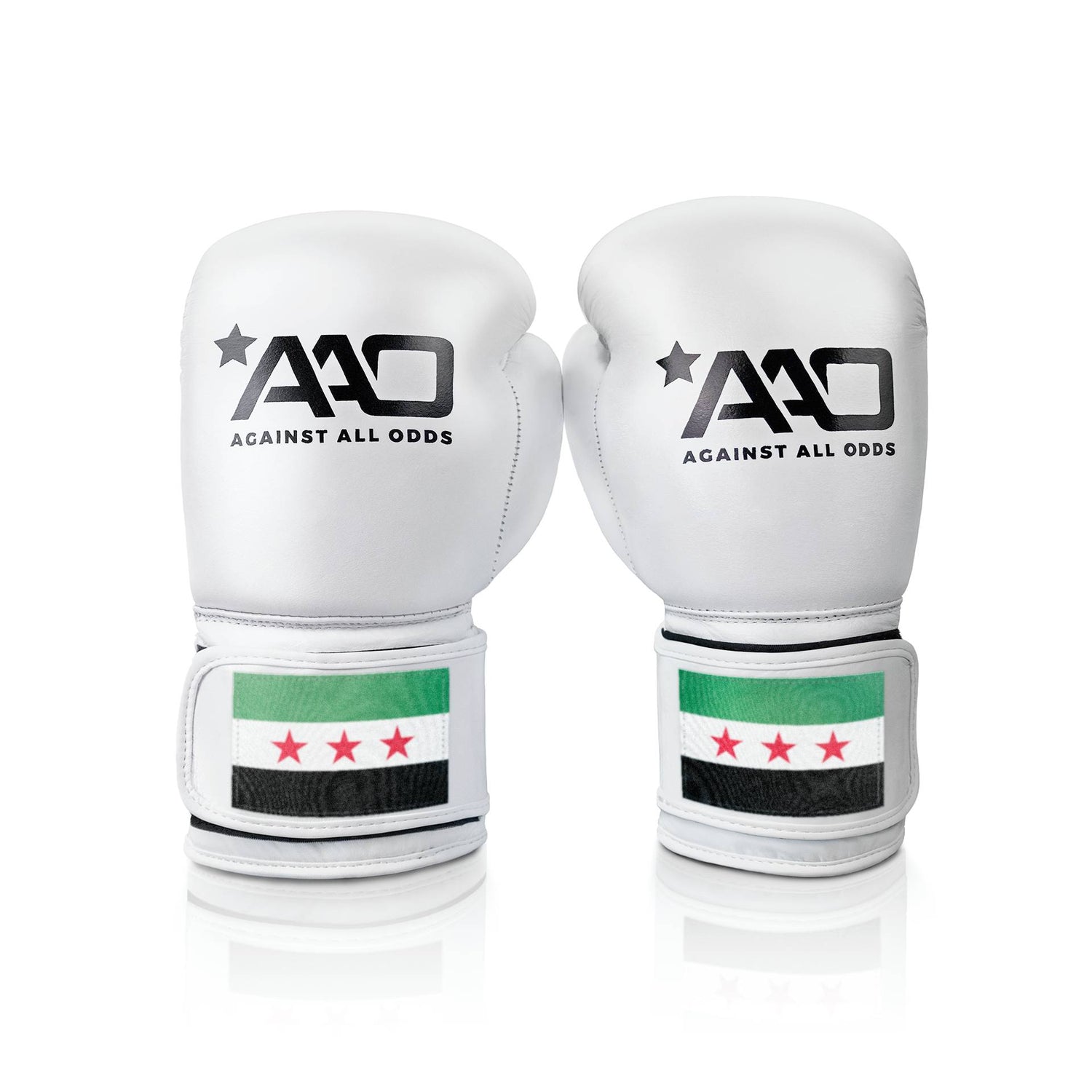 Gant de boxe Syrie