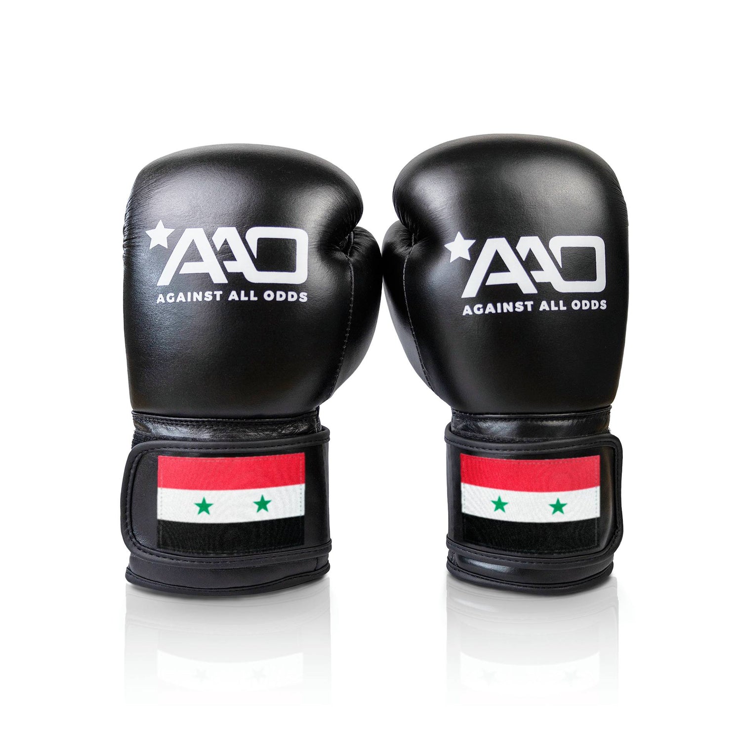 Syria Boxing Glove