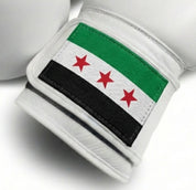 AAO Legacy Boxhandschuhe | Syrien - Aao-Fighting