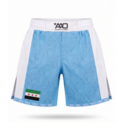 Syrien Elevate MMA Shorts Babyblau/Weiss Bild 1