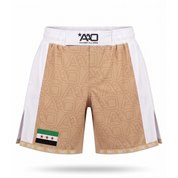 Syrien Elevate MMA Shorts Beige/Weiss Bild 1