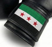 AAO Legacy Boxhandschuhe | Syrien - Aao-Fighting