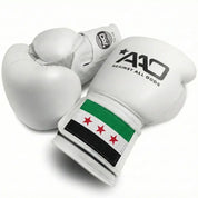 AAO Legacy Boxhandschuhe | Syrien - Aao-Fighting