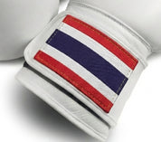 AAO Legacy Boxhandschuhe | Thailand - Aao-Fighting