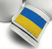 AAO Legacy Boxhandschuhe | Ukraine - Aao-Fighting