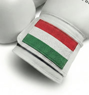 AAO Legacy Boxhandschuhe | Ungarn - Aao-Fighting