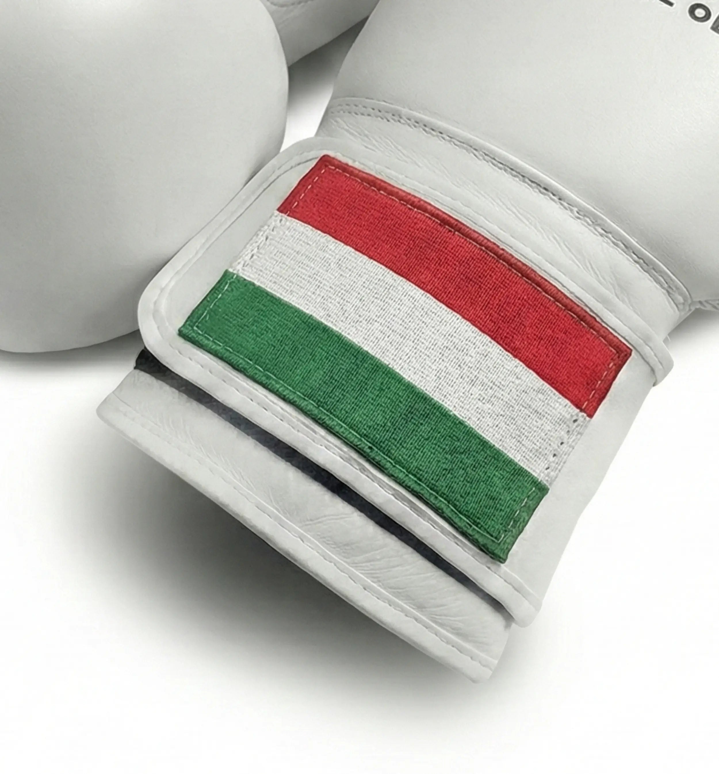 AAO Legacy Boxhandschuhe | Ungarn - Aao-Fighting