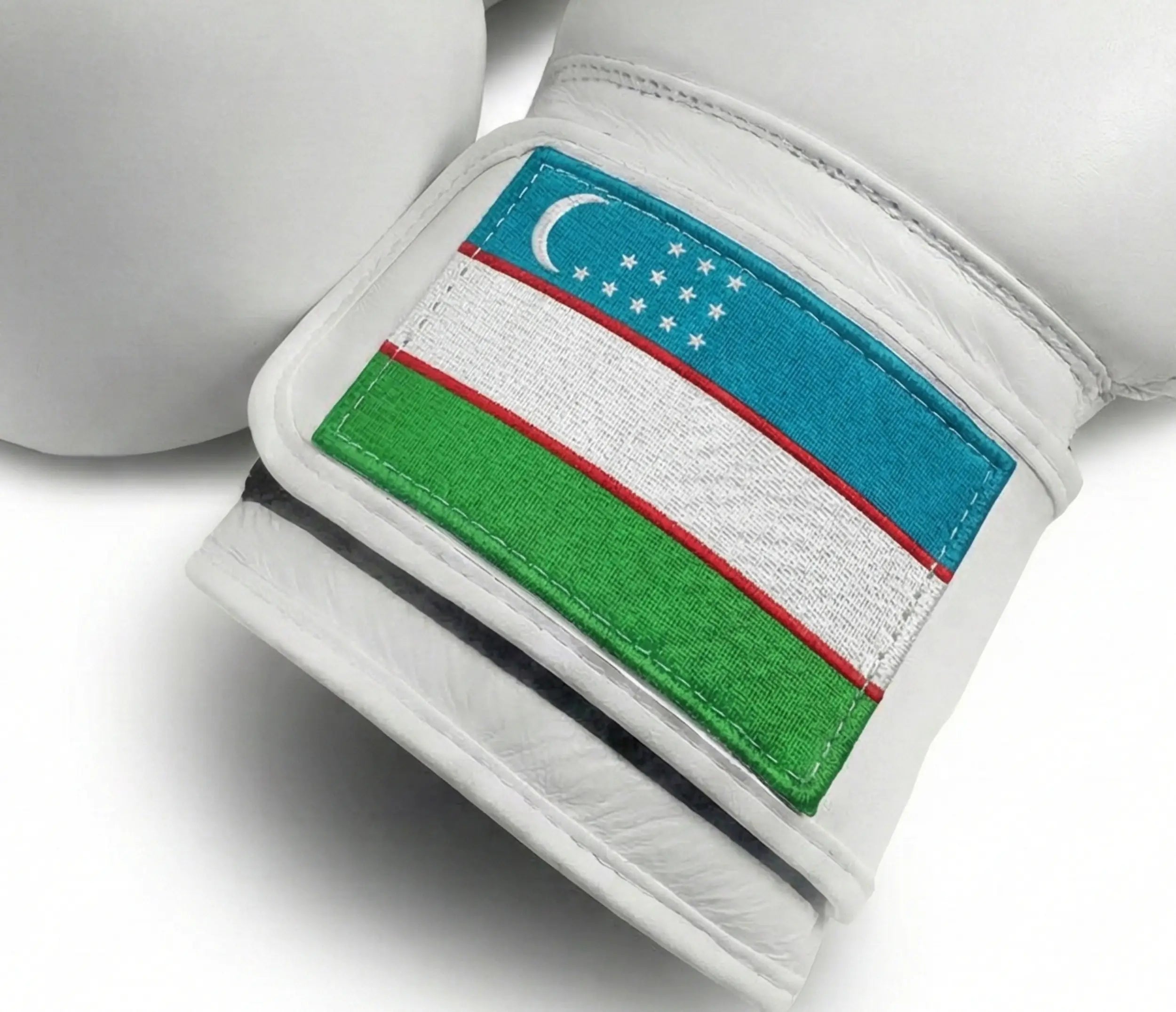 AAO Legacy Boxhandschuhe | Usbekistan - Aao-Fighting