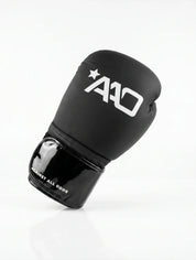 AAO "Nightfall" Boxhandschuhe - Aao-Fighting