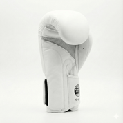 AAO Performnce | Boxhandschuhe ( Echtleder ) - Aao-Fighting