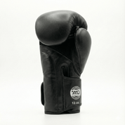 AAO Performnce | Boxhandschuhe ( Echtleder ) - Aao-Fighting