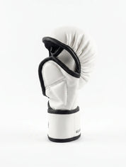 AAO "Performance" MMA Handschuhe - Aao-Fighting