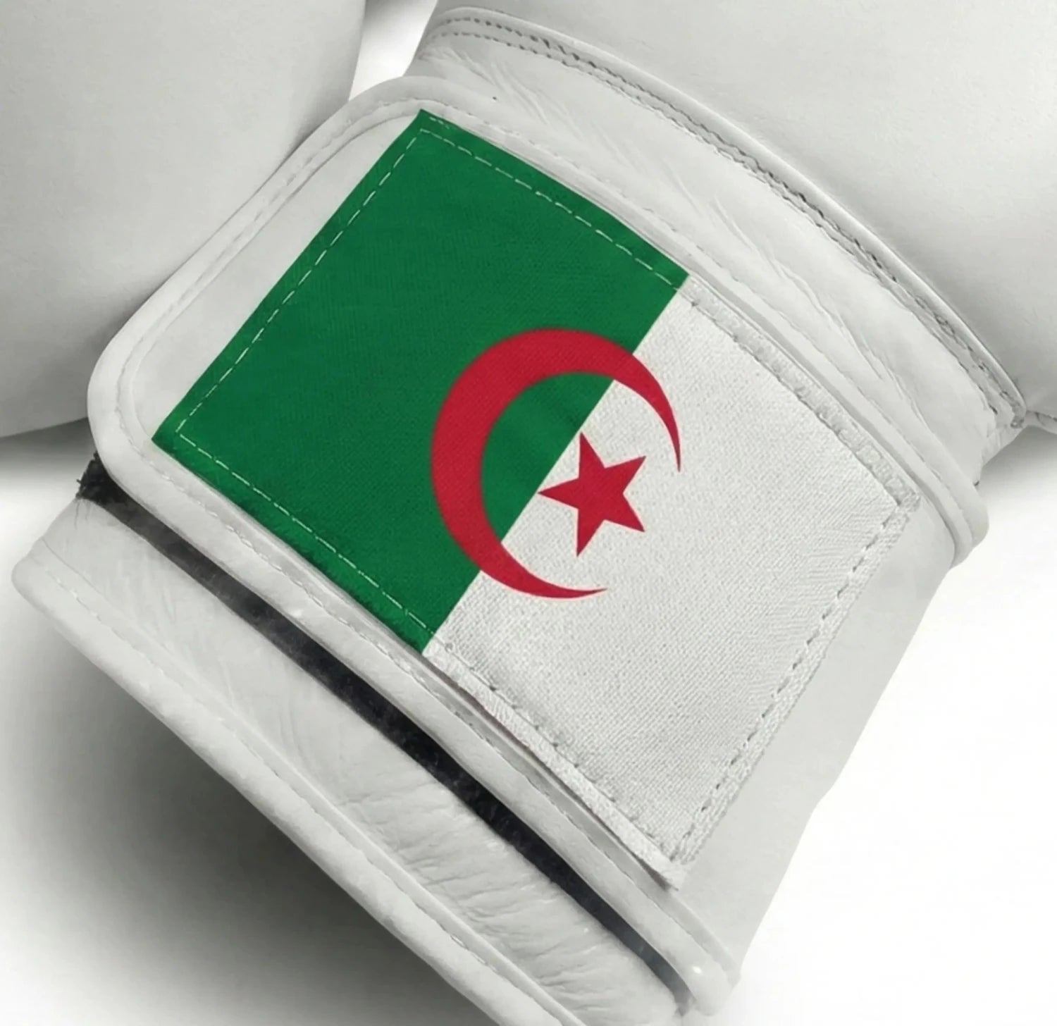 AAO Legacy Boxhandschuhe | Algerien - Aao-Fighting