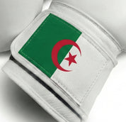 AAO Legacy Boxhandschuhe | Algerien - Aao-Fighting