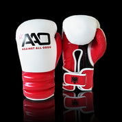Allround Boxhandschuhe Albanien Edition - Aao-Fighting