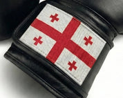 AAO Legacy Boxhandschuhe | Georgien - Aao-Fighting