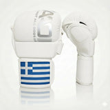 AAO Legacy Mixed Martial Arts Gloves | Greece