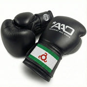 AAO Legacy Boxhandschuhe Ingushetia  Flagge Echtleder