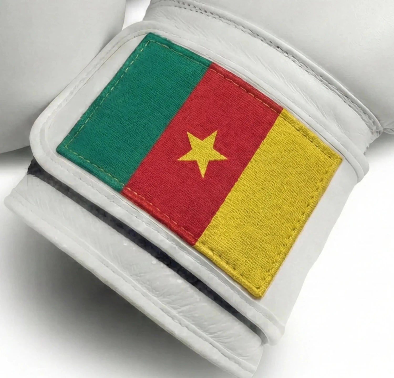 AAO Legacy Boxhandschuhe | Kamerun - Aao-Fighting