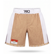 Köln - Elevate MMA Shorts - Aao-Fighting