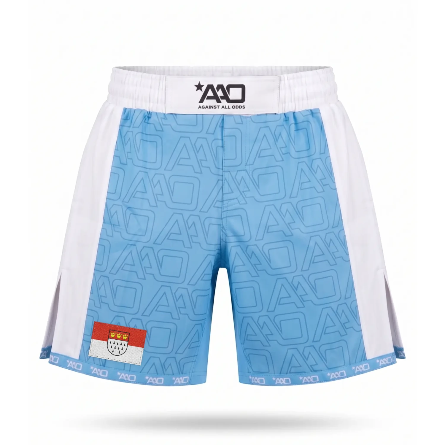 Köln - Elevate MMA Shorts - Aao-Fighting