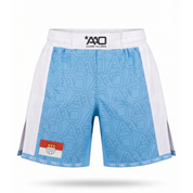 Köln - Elevate MMA Shorts - Aao-Fighting