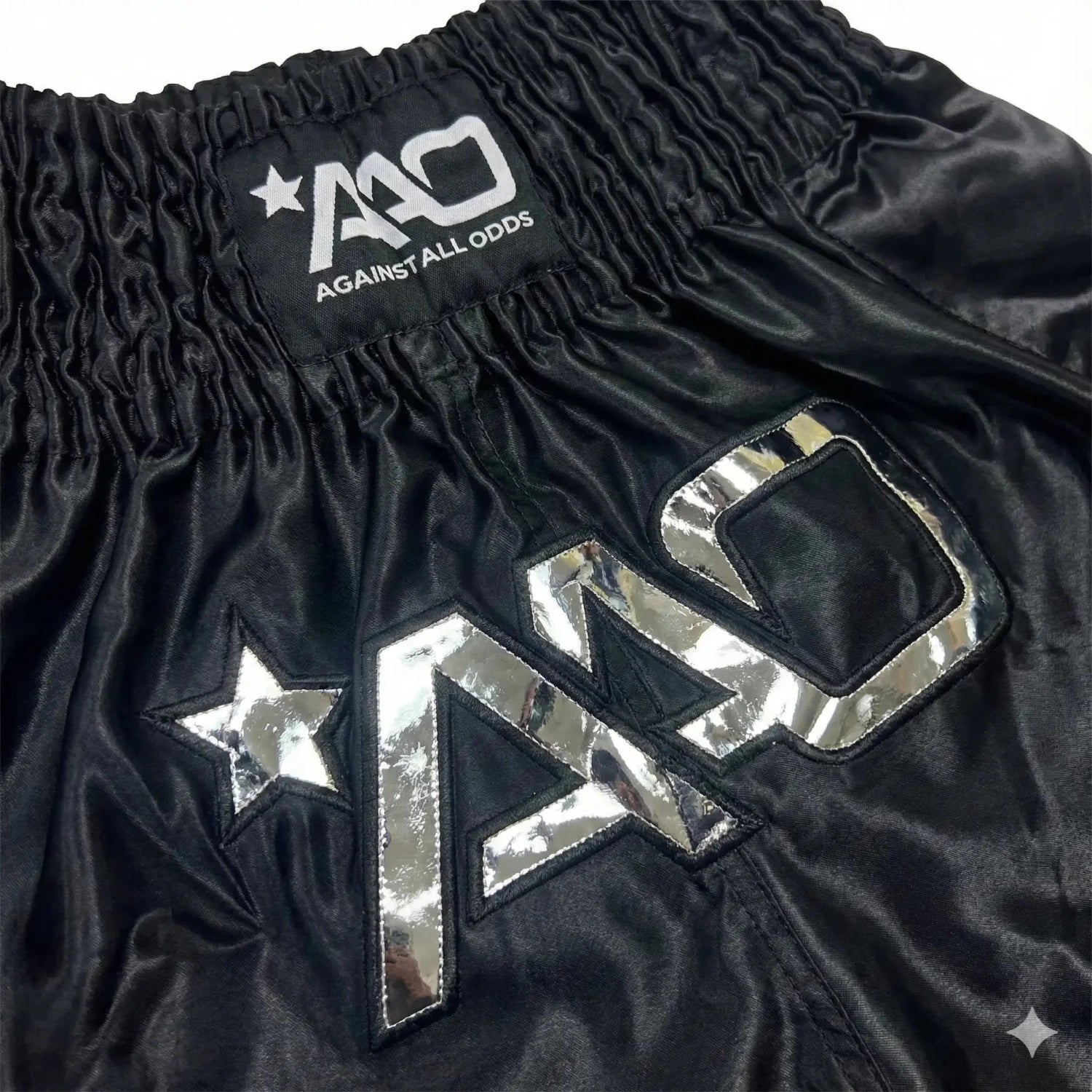AAO Muay Thai Shorts "Legacy" - Niederlande - Aao-Fighting