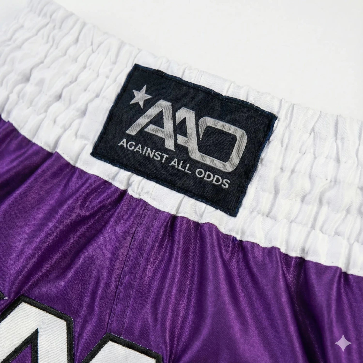 AAO Muay Thai Shorts "Legacy" - Niederlande - Aao-Fighting