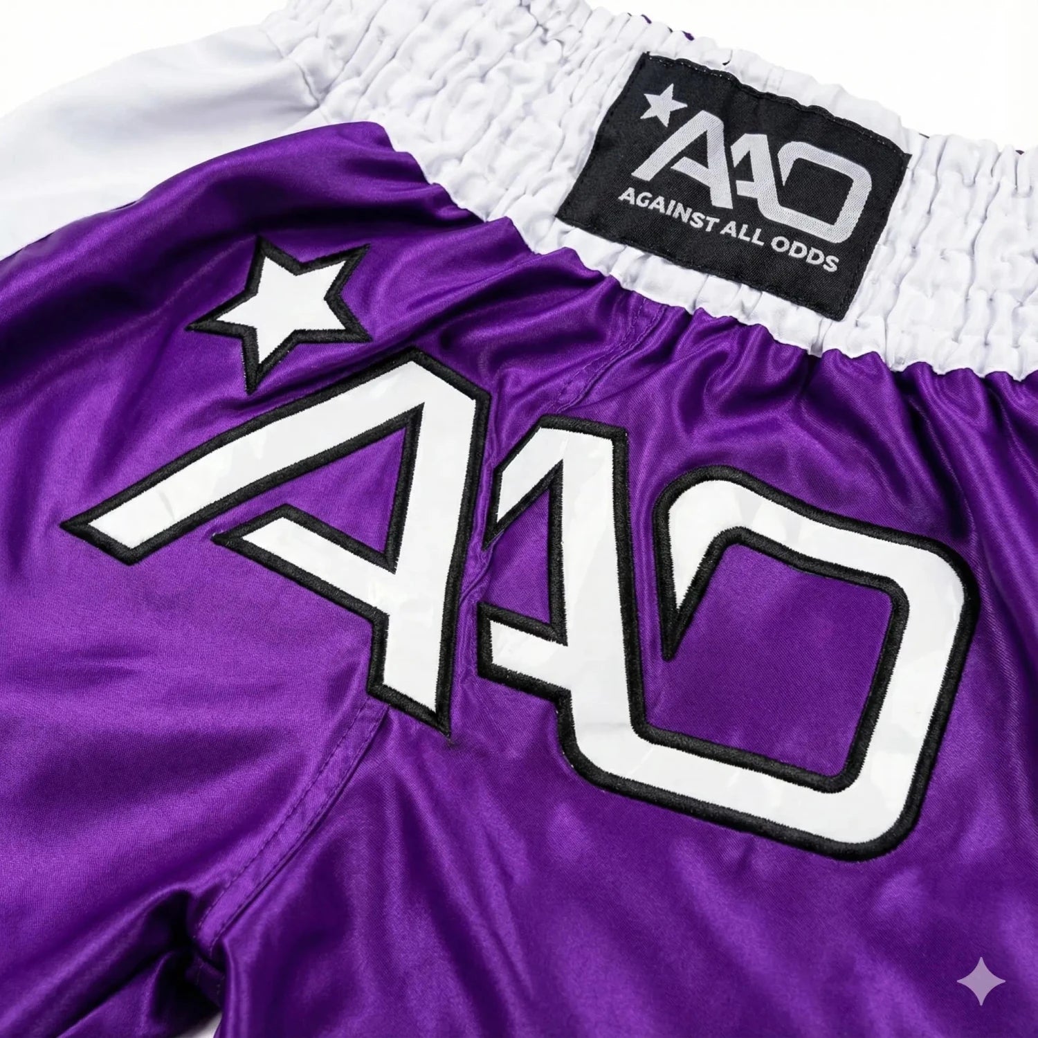 AAO Muay Thai Shorts "Legacy" - Niederlande - Aao-Fighting