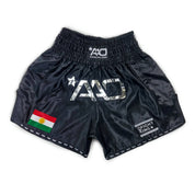 AAO Muay Thai Shorts "Legacy" - Kurdistan - Aao-Fighting