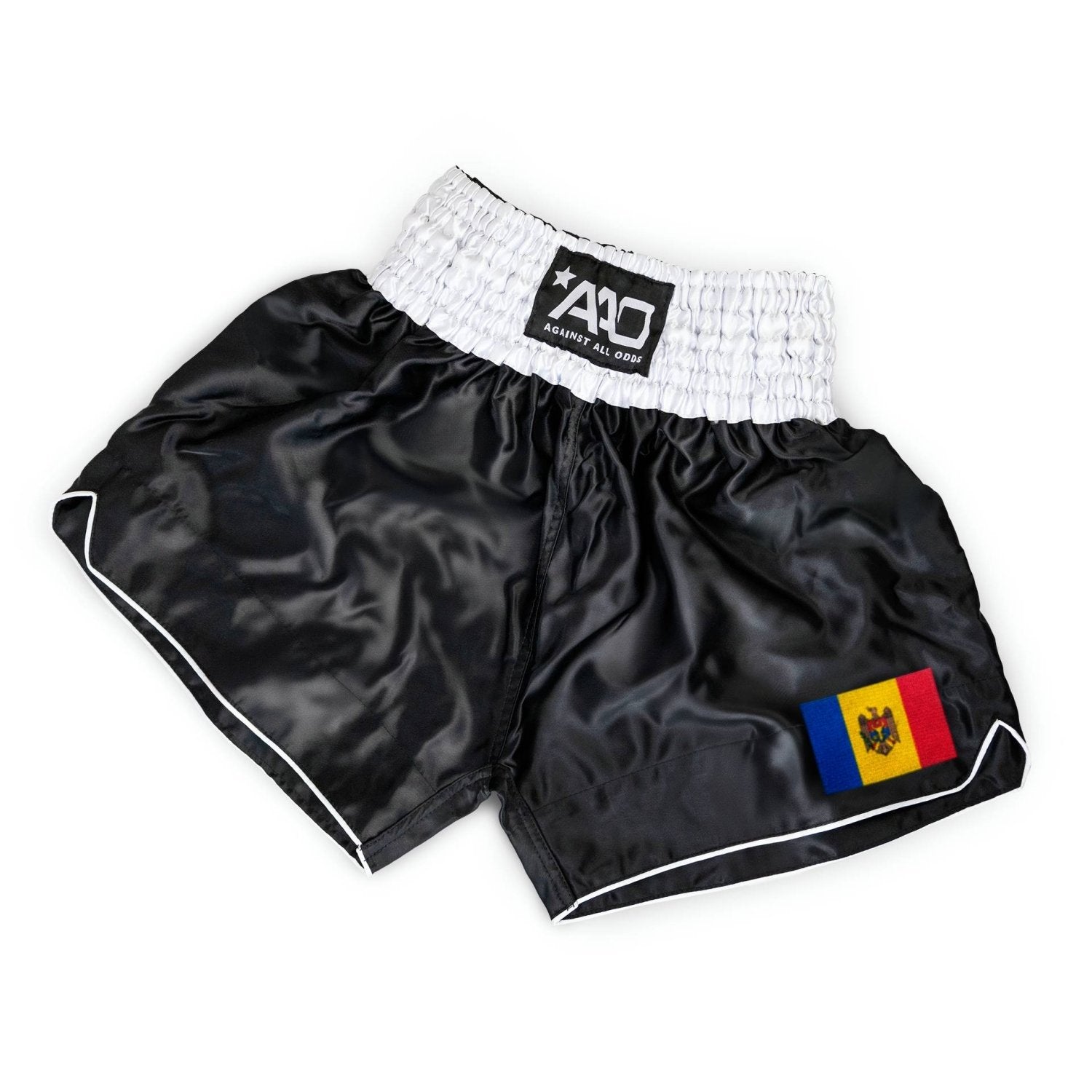 Moldava Muay Thai Shorts - Aao-Fighting