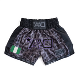 Nigeria TechLayer Muay Thai Shorts - AAO