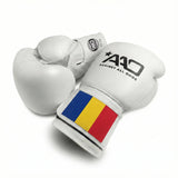 Gants de boxe Legacy AAO | Roumanie
