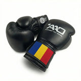 Rumänien Boxhandschuhe | AAO Legacy