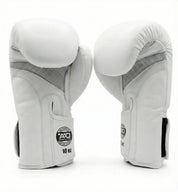 AAO Legacy Boxhandschuhe | Syrien - Aao-Fighting