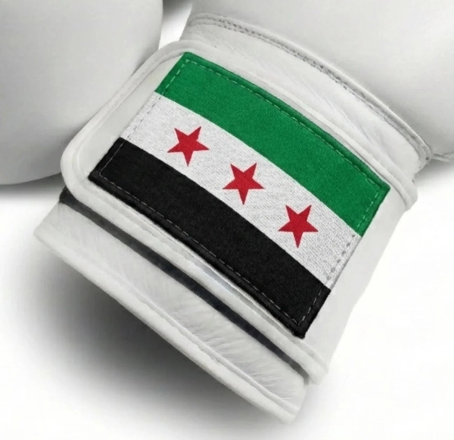 AAO Legacy Boxhandschuhe | Syrien - Aao-Fighting