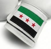 AAO Legacy Boxhandschuhe | Syrien - Aao-Fighting