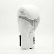 AAO Legacy Boxhandschuhe | Niederlande - Aao-Fighting