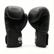 AAO Legacy Boxhandschuhe | Niederlande - Aao-Fighting