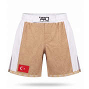 Türkei Elevate MMA Shorts Beige/Weiss Bild 1